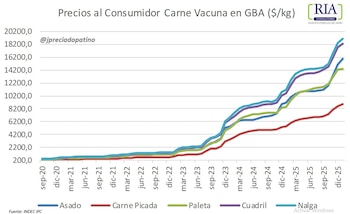 Desde 2023, el precio de