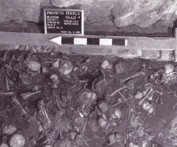 En total fueron localizados 42