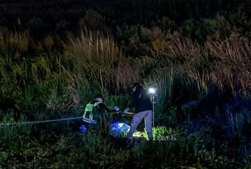 Los dos ocupantes de la camioneta involucrada resultaron heridos y recibieron asistencia médica en la localidad de Florencia (El Litoral)