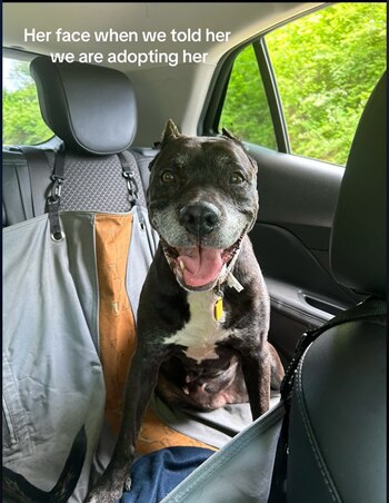 Jade es feliz con su