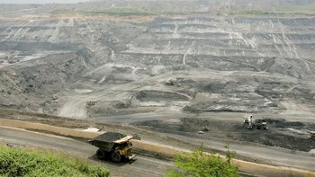 Colombia estudia aumentar la exportación