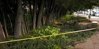 El hombre de 33 años