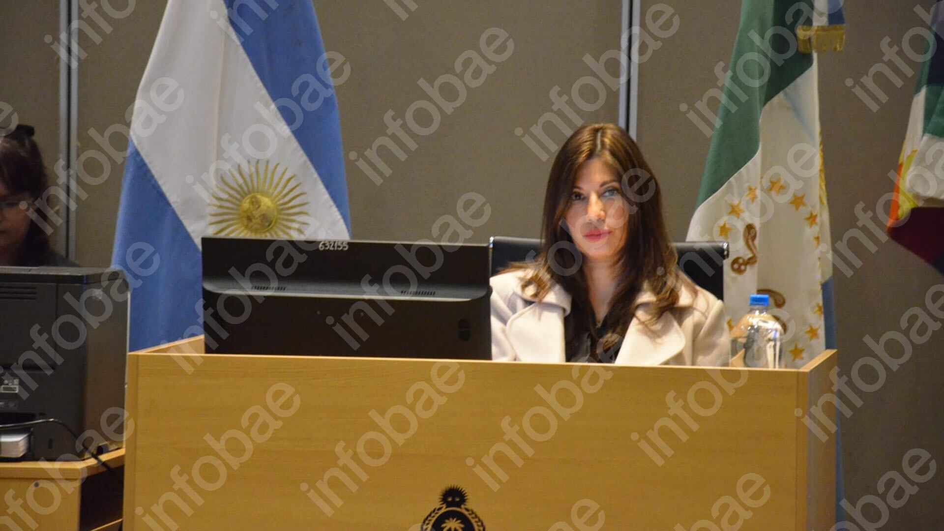 La jueza técnica, Dolly Fernández