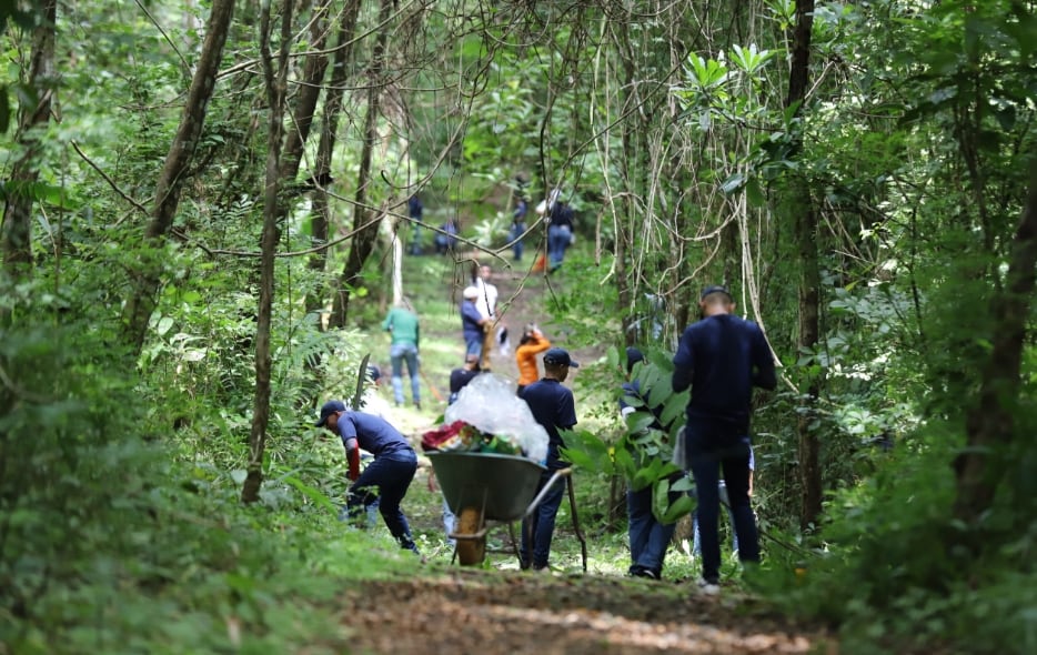 Regularmente en los parques nacionales los voluntarios colaboran junto a las autoridades en la limpieza de los senderos. (MiAmbiente)