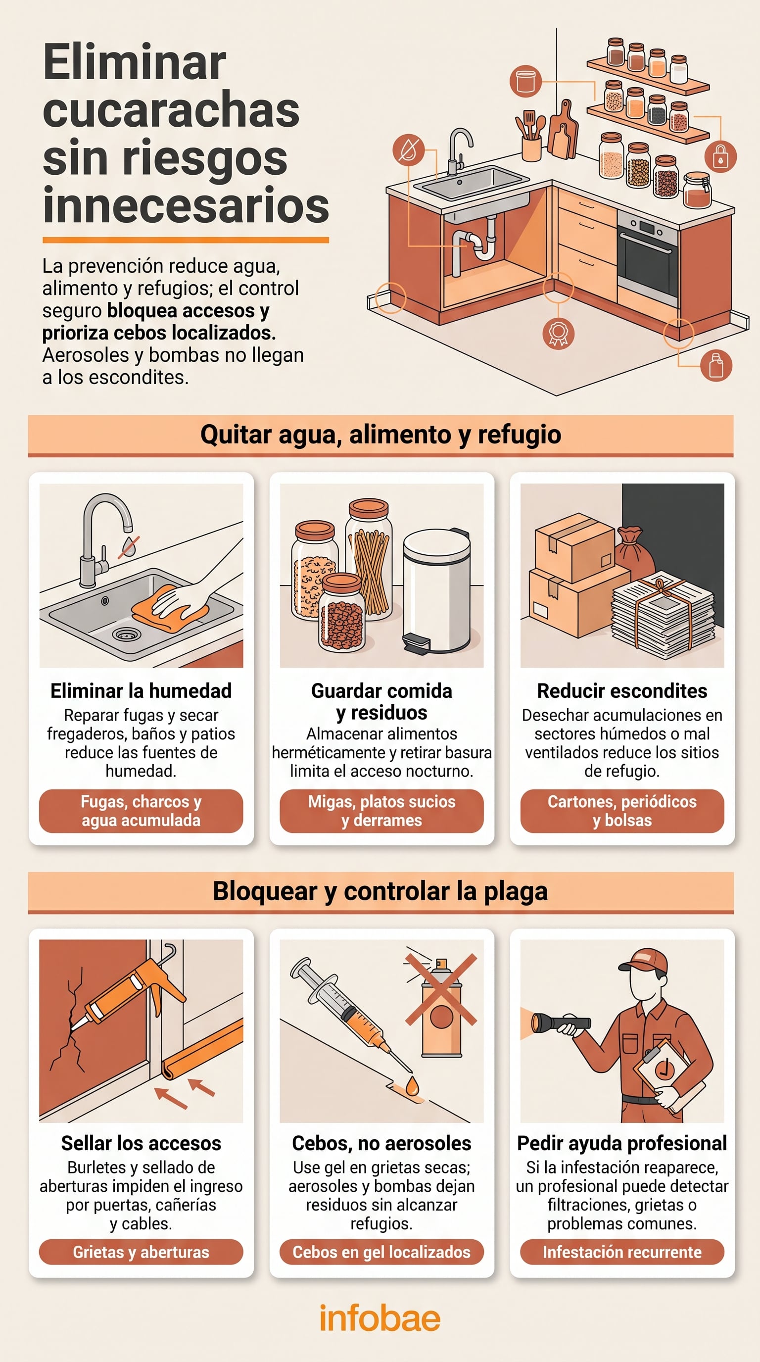 Medidas y recomendaciones para el control de cucarachas en el hogar. (Imagen Ilustrativa Infobae)