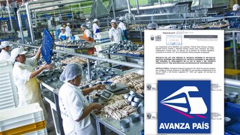 Congreso: bancada de Avanza País