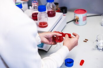 Ositos robóticos comestibles animan el