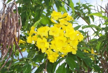 Se debe tener ciertas precauciones