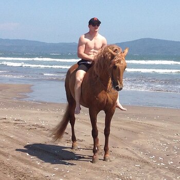 Saúl Álvarez ha hecho y