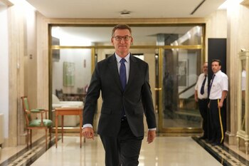 El líder del PP, Alberto