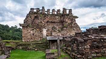 Lo único que se solicita