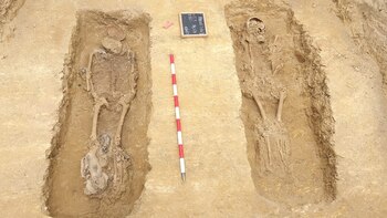 La ARMH halla los restos