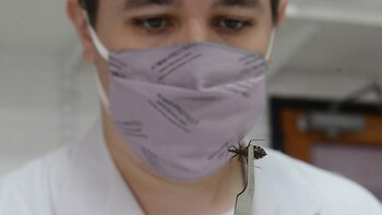 El laboratorio de CITIDEF es