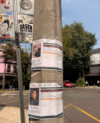 Las familias de los dos jóvenes acudieron de inmediato a pegar fichas de búqueda en postes para pedir ayuda por su localización a la población Foto: Redes