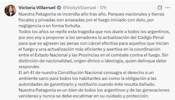 El mensaje de la vicepresidenta