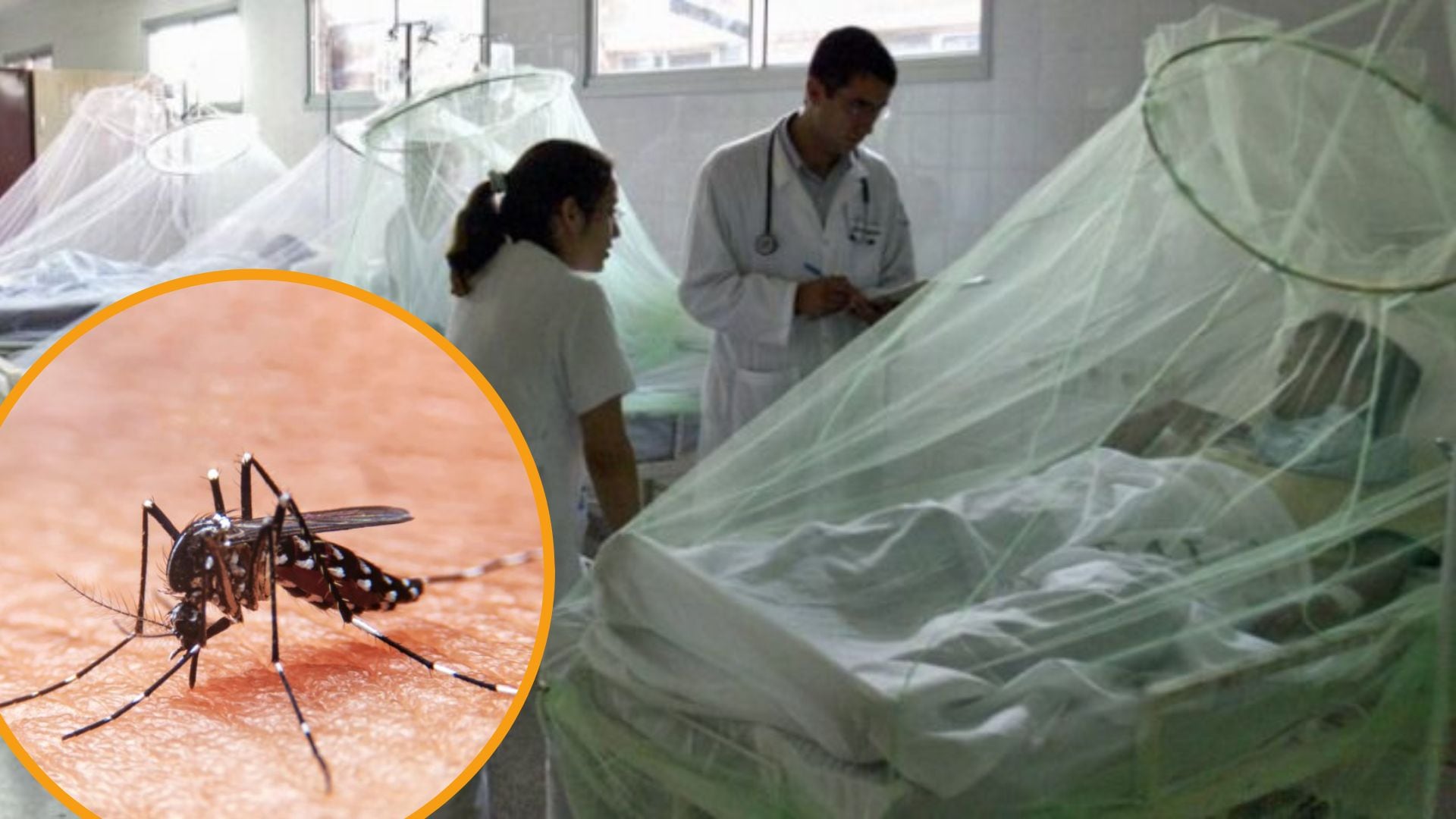 Alerta por dengue ante posible impacto del fenómeno El Niño: Perú acumula 83 mil casos y La Libertad concentra 16 mil