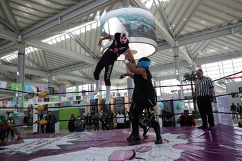 En el AIFA se llevan