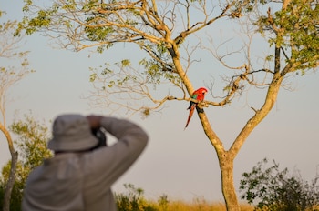 Cientos de especies de aves que convierten a la región en un paraíso para los aficionados al avistaje