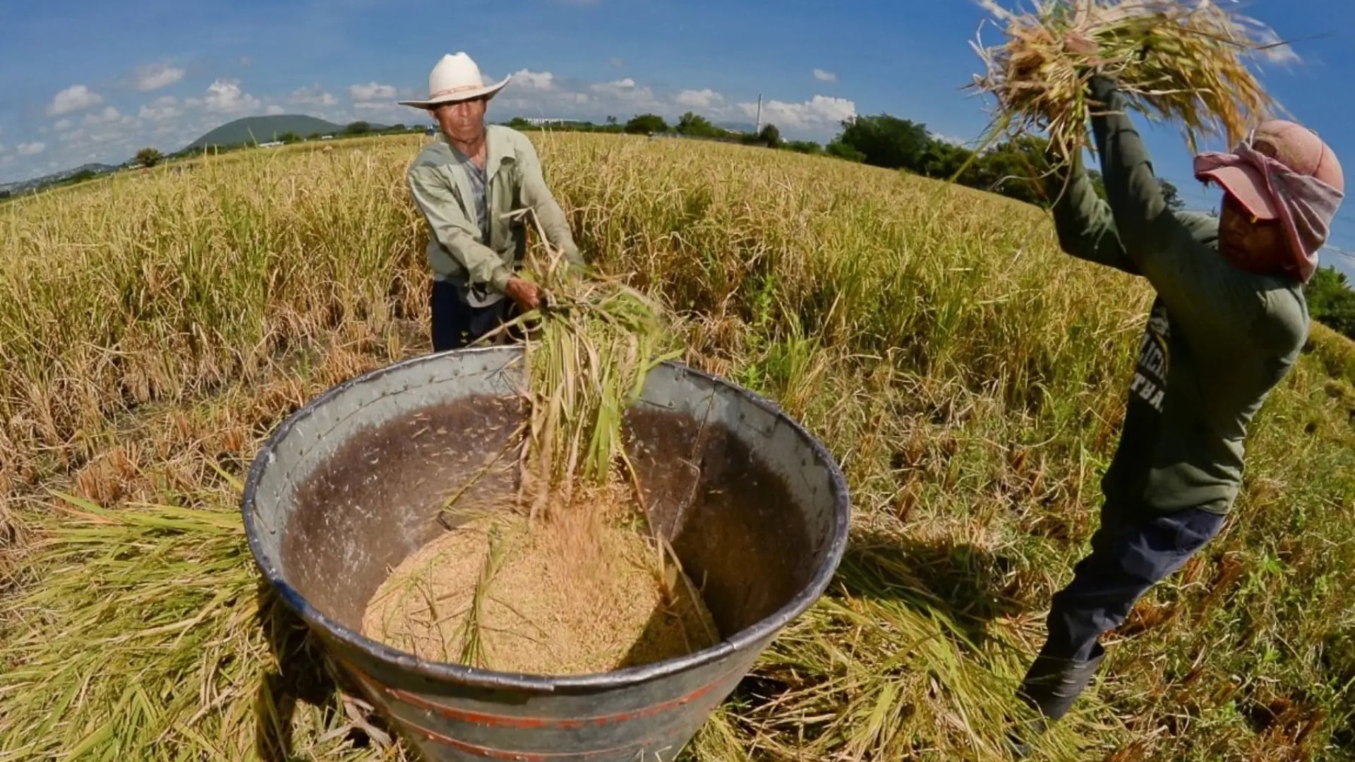 Gobierno anuncia un shock de infraestructura para impulsar el agro en los próximos cinco años