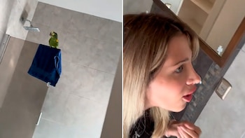 Un video viral de un