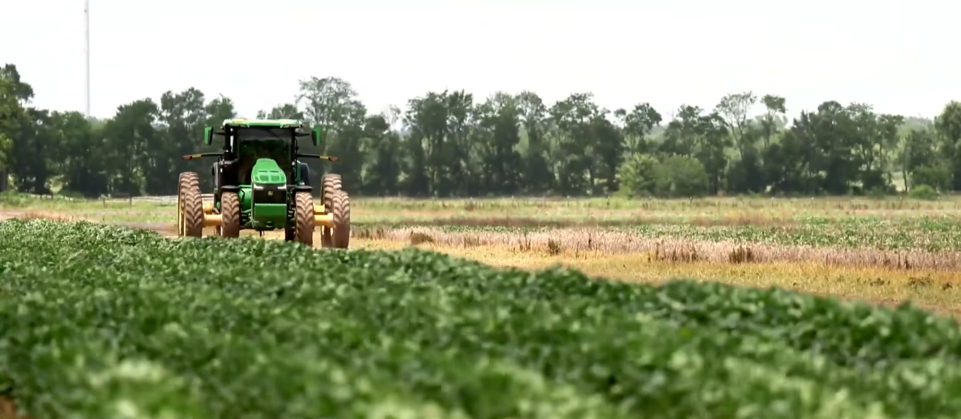 Agricultores de Luisiana buscan sobrevivir ante el aumento inédito de los costos energéticos y la incertidumbre global por la guerra en Medio Oriente (@CBS Evening News)