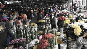 Cierre de cementerios perjudica a