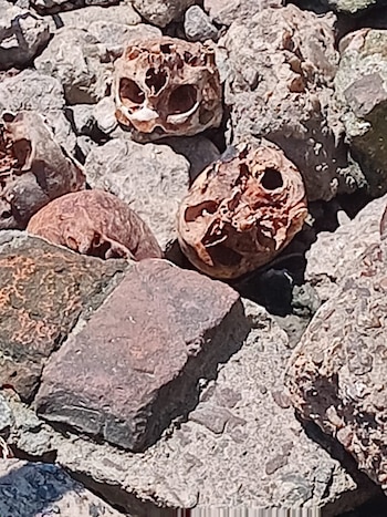 La Policía Científica investiga el