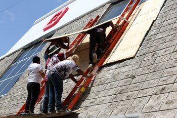 Trabajadores colocan tablas de madera