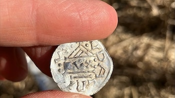 Descubren en Noruega más de 3.150 monedas de plata vikingas, el mayor tesoro de este tipo en más de 70 años