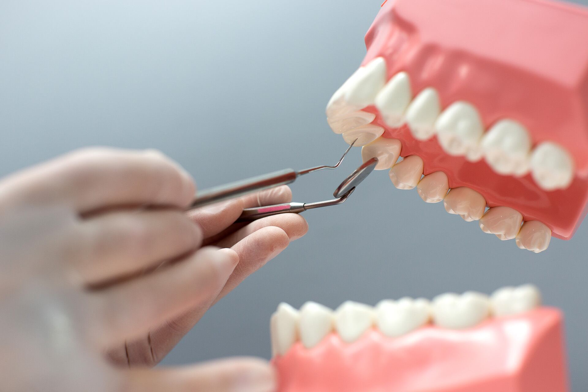 El avance en ingeniería dental permite crear estructuras dentales a partir de células y un hidrogel que simula la cavidad bucal (King