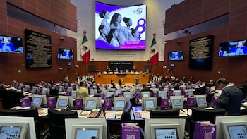 Senado conmemora en sesión solemne