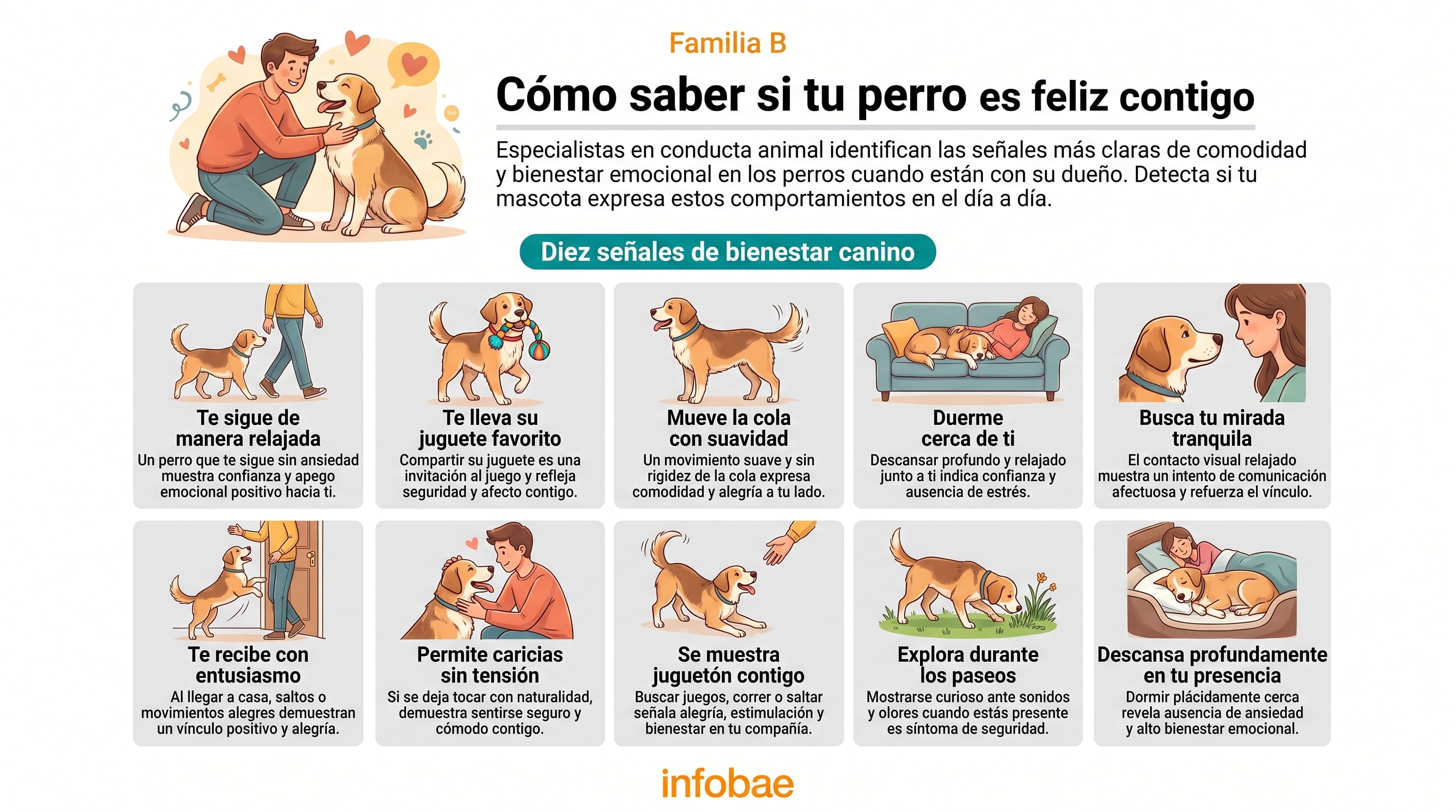 Una infografía detalla diez señales visuales que muestran el bienestar emocional y la comodidad de un perro con su dueño, según especialistas en conducta animal. (Imagen Ilustrativa Infobae)