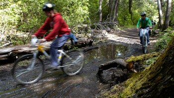 El contacto con la naturaleza