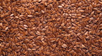 nvestigaciones recientes subrayan el poder