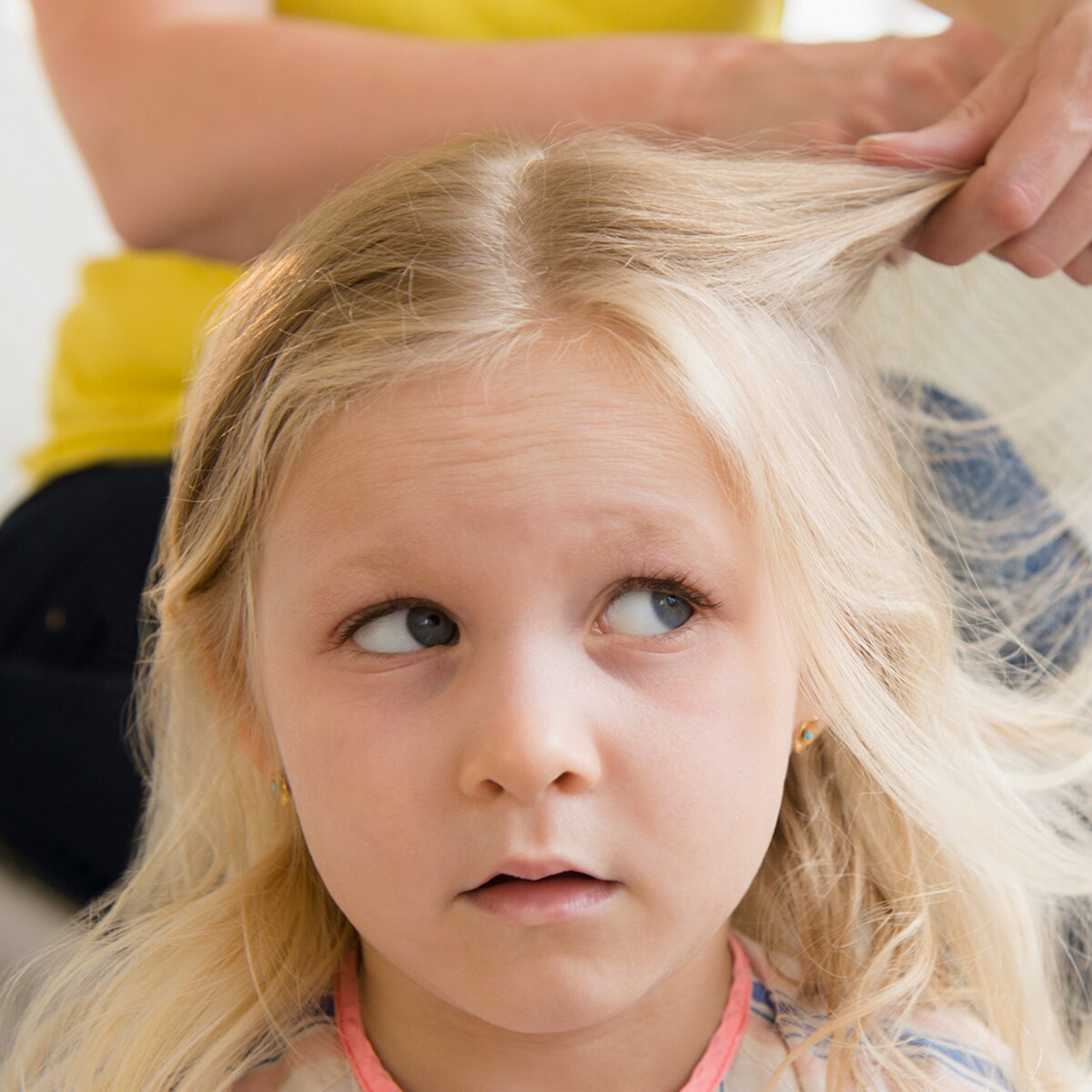 La mejor manera de desenredar el pelo, según matemáticos de Harvard - Infobae