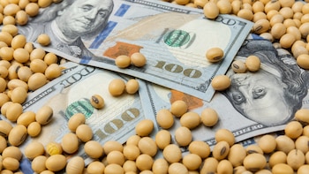 La vaca viva: proyectan que el agro liquidará USD 40.000 millones en 2027