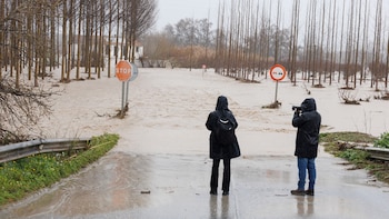 De Leonardo a la borrasca