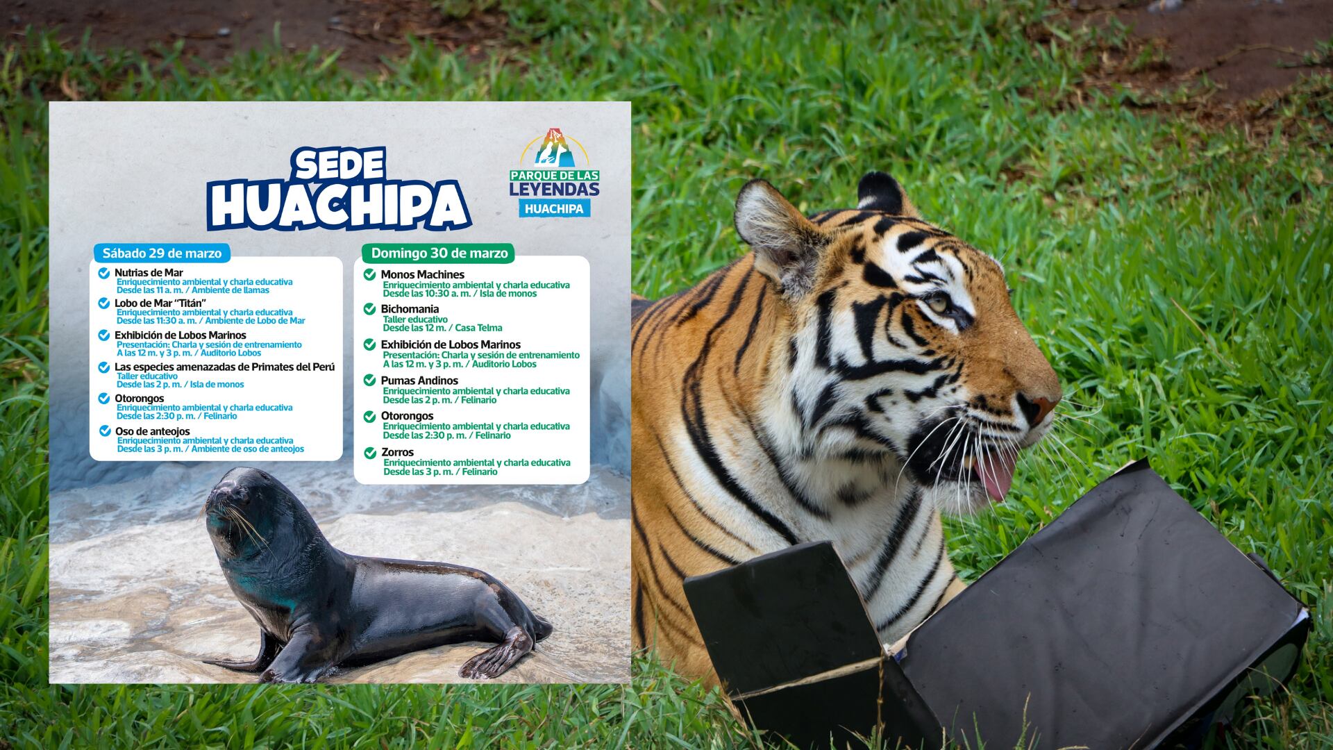 Actividades en la sede Huachipa