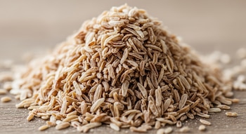La cáscara de psyllium, proveniente
