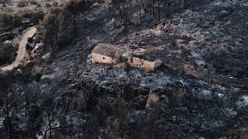 Accidentes, negligencias y fuegos intencionados originan el 95% de los incendios forestales en España: “No podemos esperar a que lleguen las llamas para actuar”