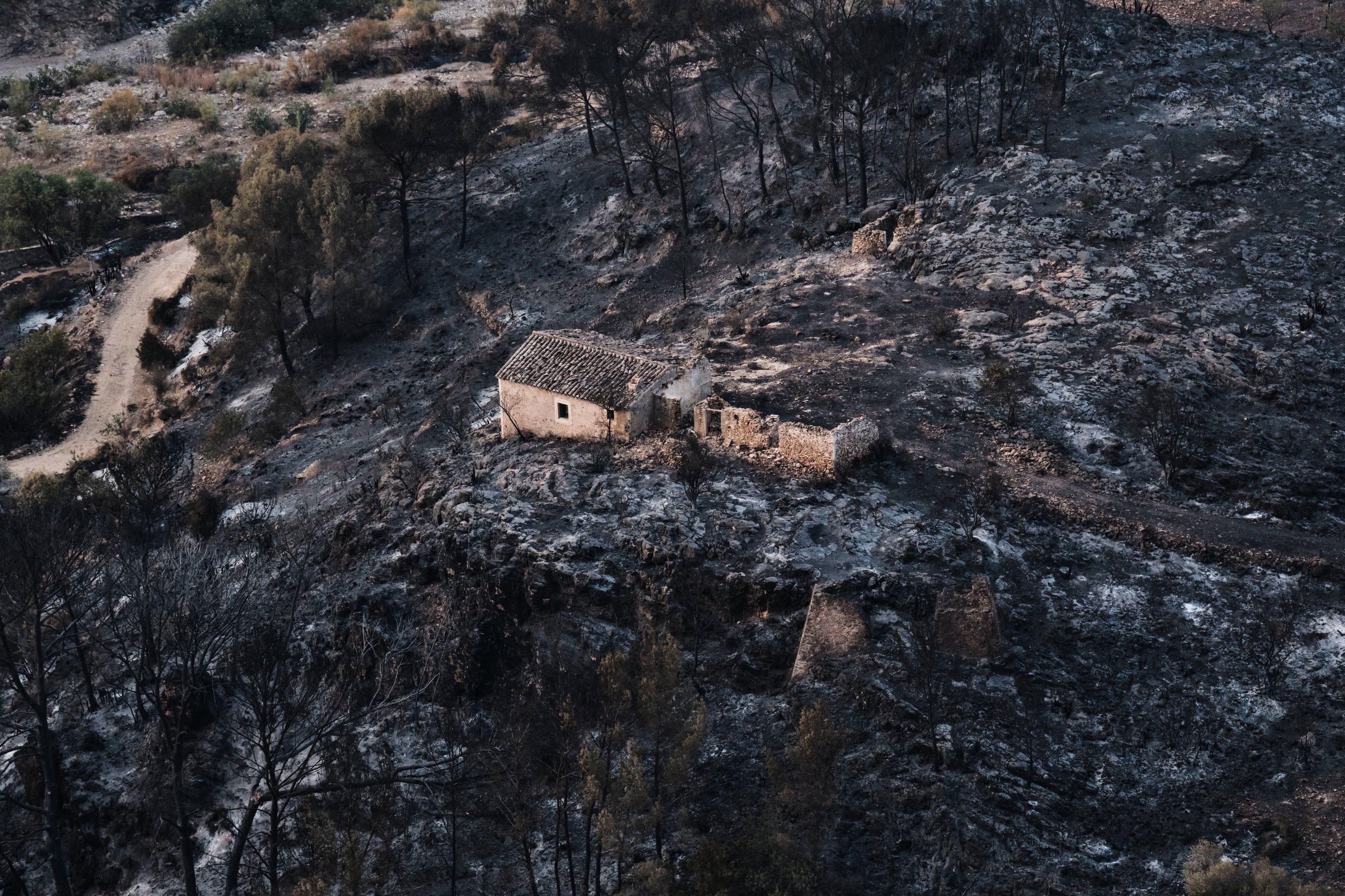 Accidentes, negligencias y fuegos intencionados originan el 95% de los incendios forestales en España: “No podemos esperar a que lleguen las llamas para actuar”