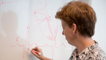 El avance, liderado por la