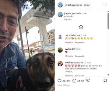 Marín compartió en su perfil de Instagram que 'Guaro' ya estaba de nuevo a su lado el martes 7 de julio de 2026 - crédito @jorgehugomarin/IG
