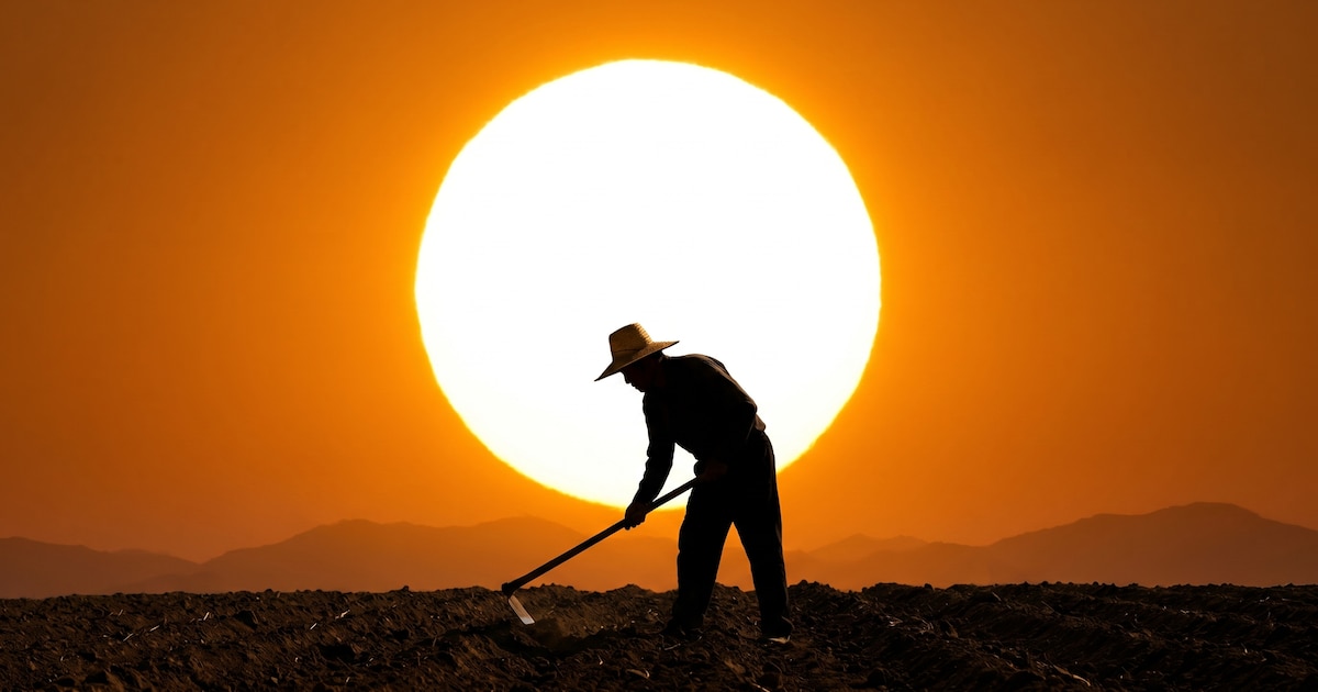 Summer Solstice 2026: when and why will be the longest day of the year