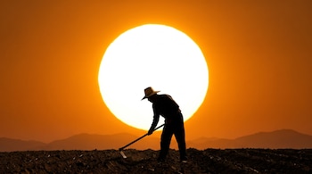 Vista de la silueta de un agricultor con sombrero trabajando en un campo arado con una azada, con un sol grande y brillante naranja de fondo.