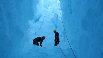 Tragedia en la Antártida: la