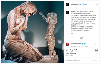 El posteo de Bárbara Diez