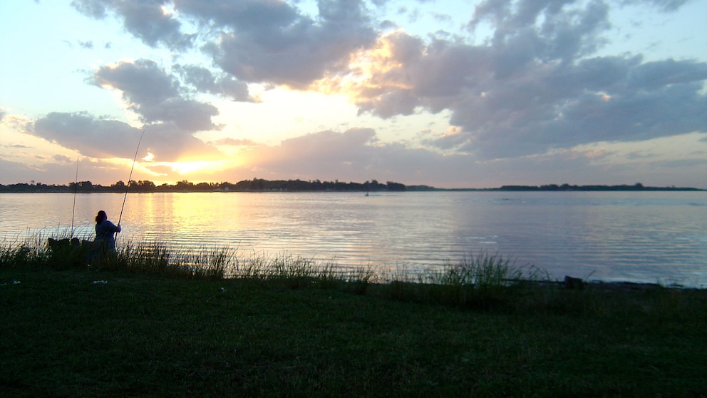 El pejerrey bonaerense, entre la pesca deportiva y un futuro de acuicultura sustentable