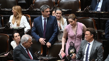 “No cumple con los criterios mínimos de razonabilidad y transparencia”: diputados de UP se quejaron ante el FMI por Presupuesto 2007