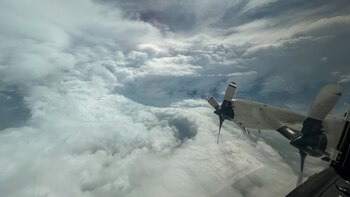 Así luce el ojo del